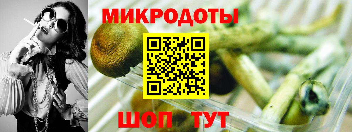 Псилоцибиновые грибы мицелий Мелеуз